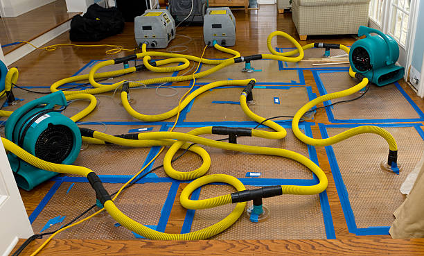 Professional Basement Flood Cleanup technician working in Brownstown, PA